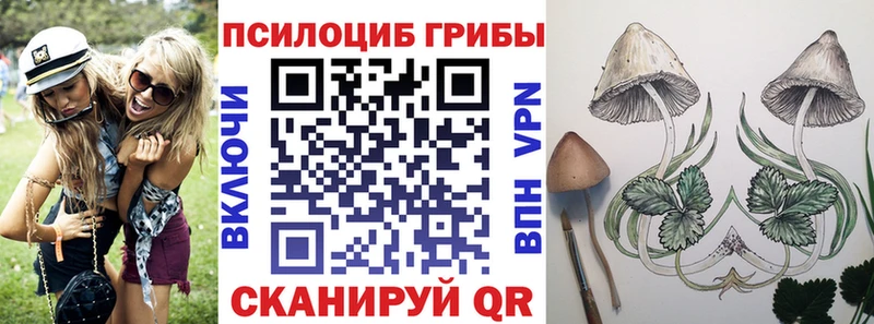 Псилоцибиновые грибы MAGIC MUSHROOMS  Купить где  Химки 